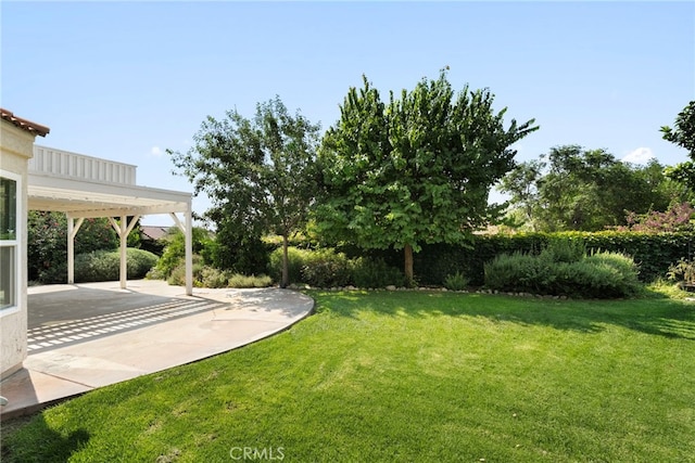 1336 Granada St, Upland, CA 91784 - view of green lawn featuring a patio