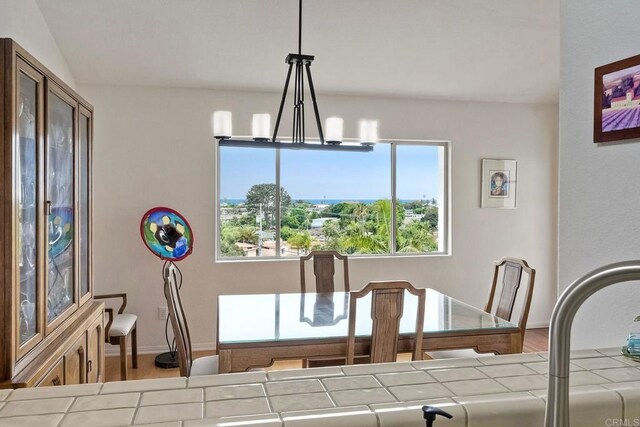 289 Hygeia Ct, Encinitas, CA 92024 - photo 20