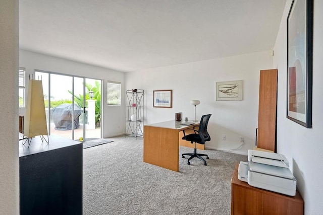 289 Hygeia Ct, Encinitas, CA 92024 - photo 31