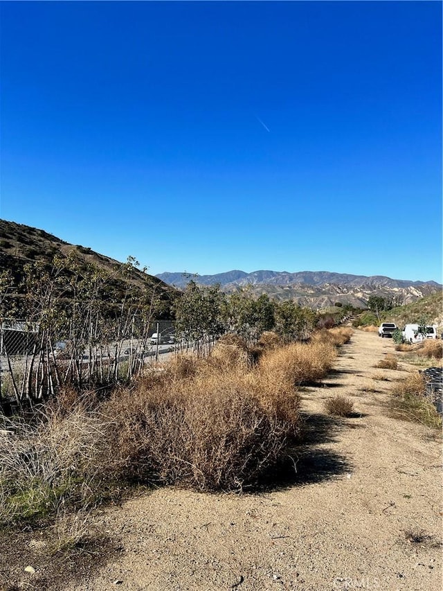 10200 Willow Springs Ln, Sunland, CA 91040 - photo 35