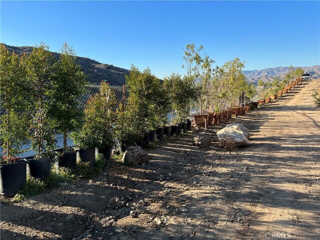 10200 Willow Springs Ln, Sunland, CA 91040 - photo 8