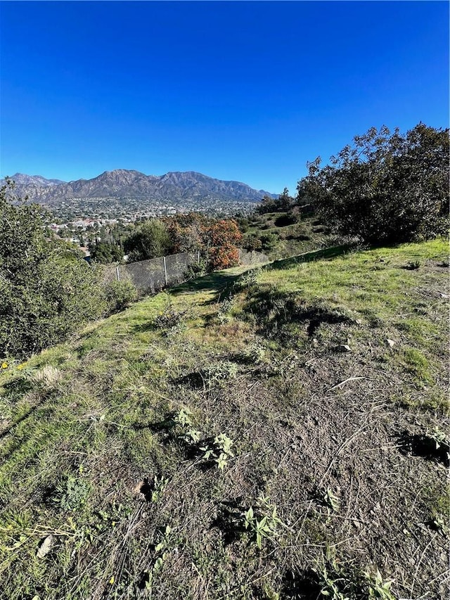 10200 Willow Springs Ln, Sunland, CA 91040 - photo 32