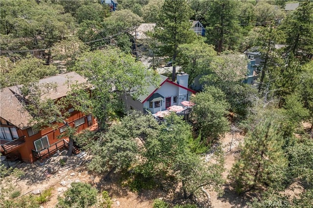 1364 Toronto Dr, Lake Arrowhead, CA 92352 - photo 38