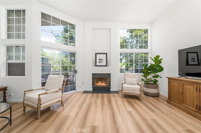 33144 Ocean Rdg, Dana Point, CA 92629 - living area featuring light wood-style flooring and a fireplace with flush hearth