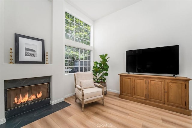 33144 Ocean Rdg, Dana Point, CA 92629 - living area with light wood finished floors, a high end fireplace, and a towering ceiling