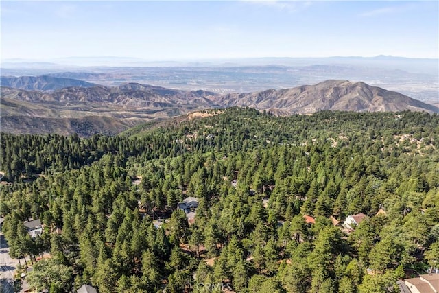31115 Valley Oak Dr, Running Springs, CA 92382 - photo 47