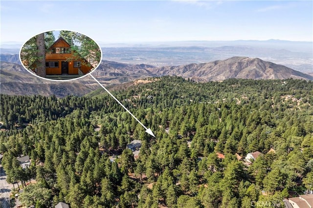 31115 Valley Oak Dr, Running Springs, CA 92382 - photo 2