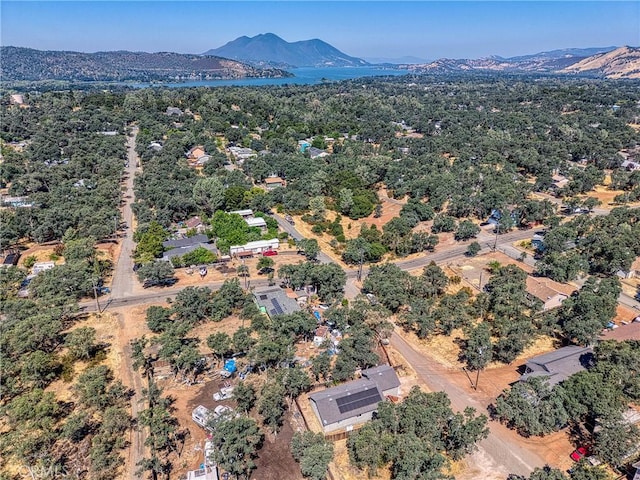 16165 23rd Ave, Clearlake, CA 95422 - photo 37