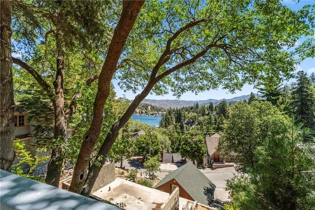 28810 Cedar Dr, Lake Arrowhead, CA 92352 - photo 24