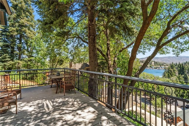28810 Cedar Dr, Lake Arrowhead, CA 92352 - photo 23