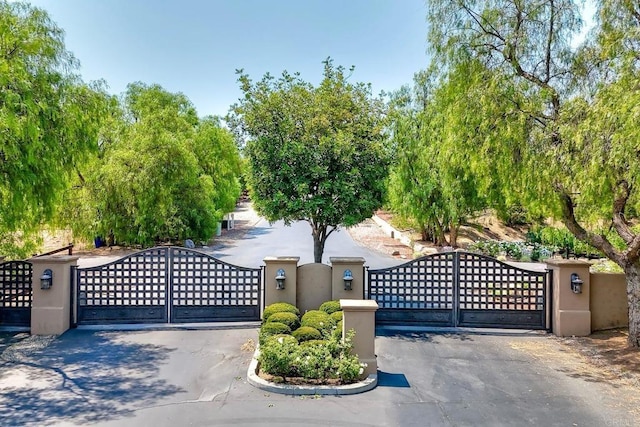 15212 Molly Anne Ct, Valley Center, CA 92082 - photo 6