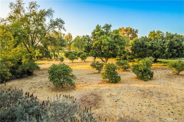920 S Spring Meadow Dr, West Covina, CA 91791 - photo 41