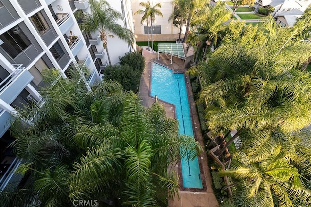 343 Pioneer Dr Unit 504, Glendale, CA 91203 - photo 45