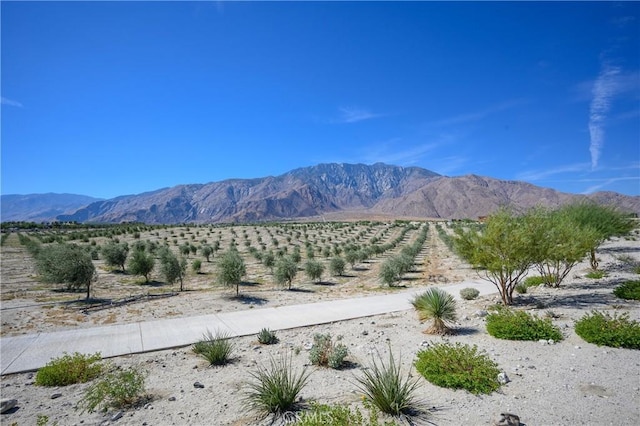 200 Mustang Ln, Palm Springs, CA 92262 - photo 18