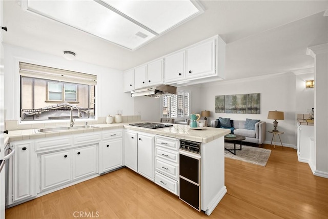 1006 Arcadia Ave Unit D, Arcadia, CA 91007 - photo 9