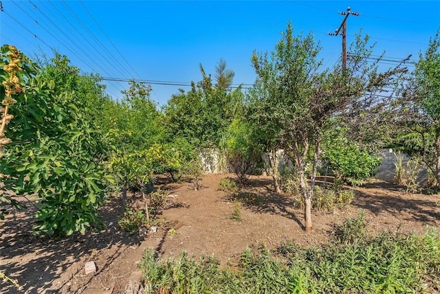 10002 Perdido St, Anaheim, CA 92804 - photo 23