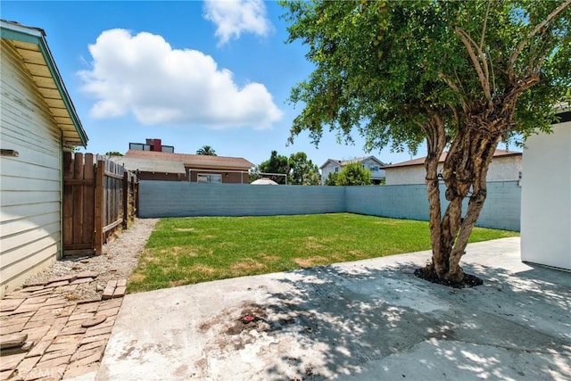 1148 E 15th St, Long Beach, CA 90813 - photo 24