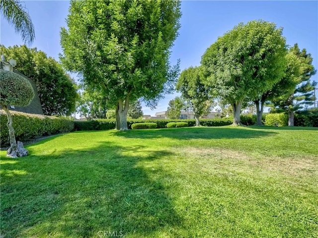 4014 Selkirk Ct, Cypress, CA 90630 - photo 48