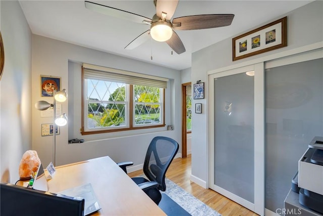 1030 N Norman Pl, Fullerton, CA 92831 - photo 53