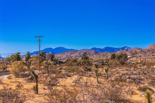 59200 Barron Dr, Yucca Valley, CA 92284 - photo 34