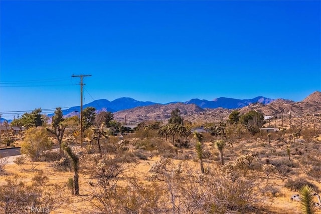 59200 Barron Dr, Yucca Valley, CA 92284 - photo 28