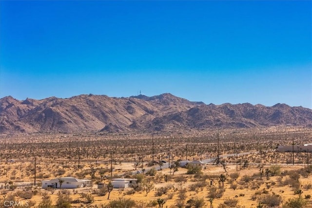 59200 Barron Dr, Yucca Valley, CA 92284 - photo 35