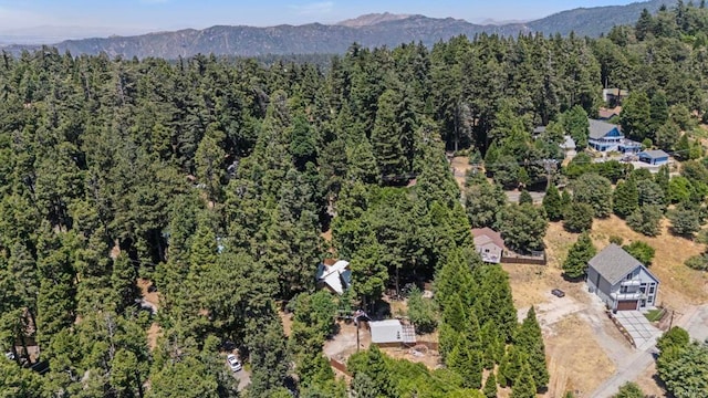 1148 Saturn Way, Crestline, CA 92325 - photo 5