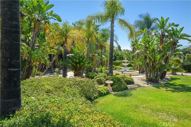 2124 Cervato Dr, Camarillo, CA 93012 - photo 35