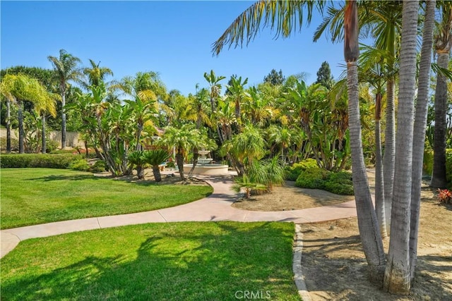2124 Cervato Dr, Camarillo, CA 93012 - photo 32