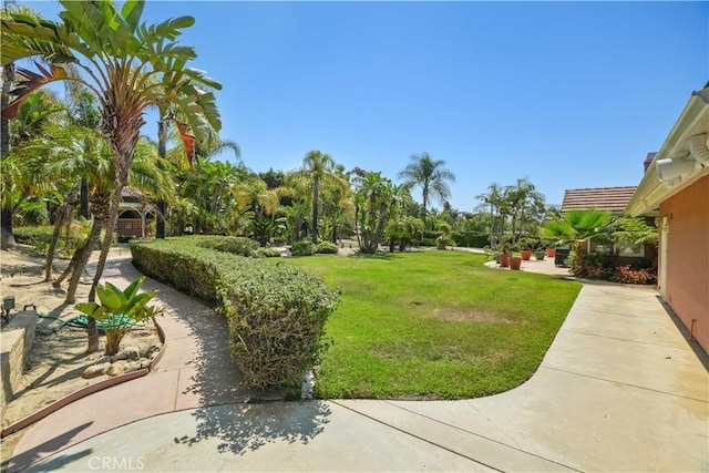 2124 Cervato Dr, Camarillo, CA 93012 - photo 34