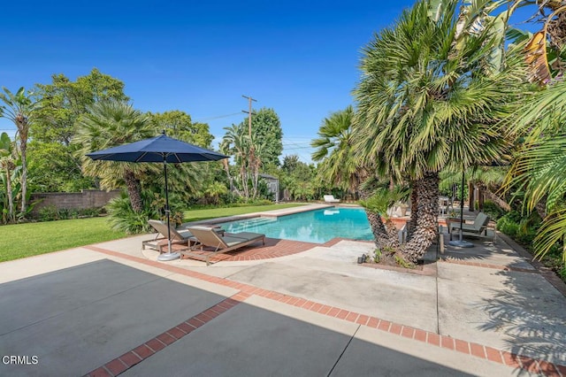 2719 Mayflower Ave, Arcadia, CA 91006 - photo 48