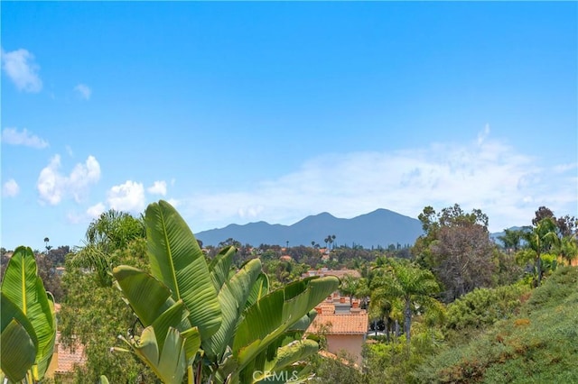 5 Agia, Laguna Niguel, CA 92677 - photo 31