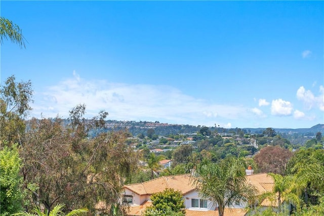 5 Agia, Laguna Niguel, CA 92677 - photo 33