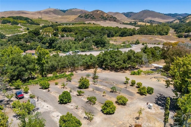 225 Broken Arrow Rd, Nipomo, CA 93444 - photo 67