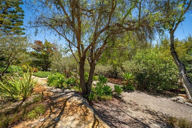 225 Broken Arrow Rd, Nipomo, CA 93444 - photo 56