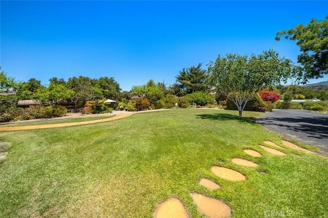 225 Broken Arrow Rd, Nipomo, CA 93444 - photo 51