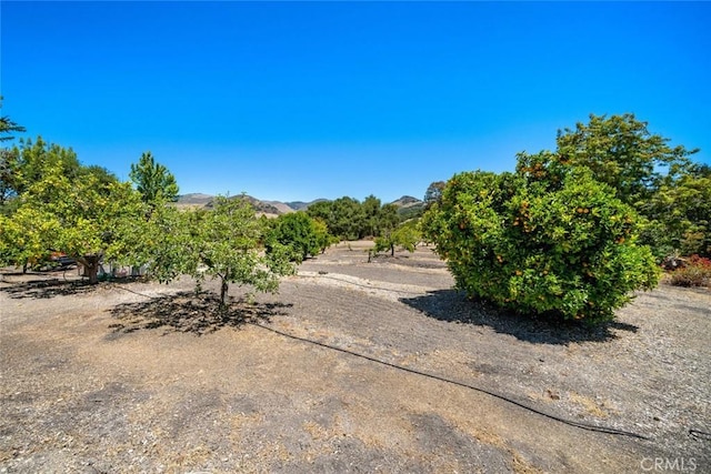 225 Broken Arrow Rd, Nipomo, CA 93444 - photo 59