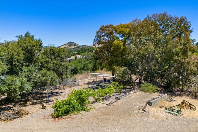 225 Broken Arrow Rd, Nipomo, CA 93444 - photo 68