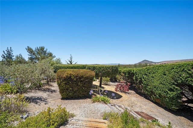 225 Broken Arrow Rd, Nipomo, CA 93444 - photo 17