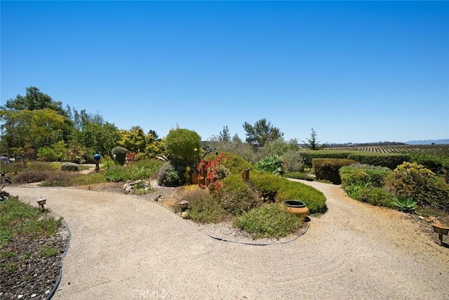 225 Broken Arrow Rd, Nipomo, CA 93444 - photo 16
