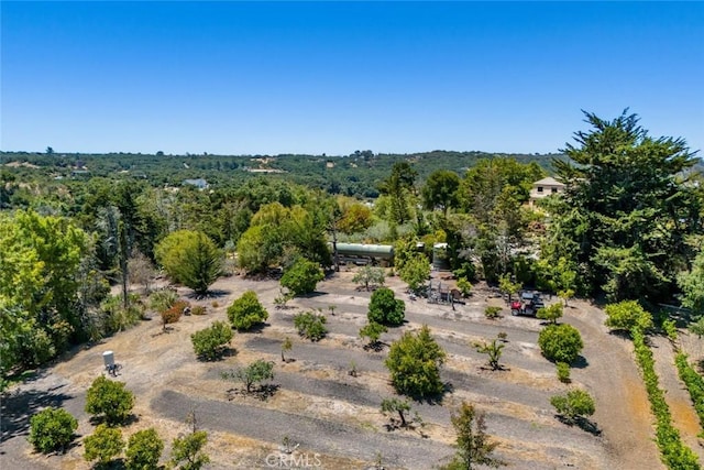 225 Broken Arrow Rd, Nipomo, CA 93444 - photo 69