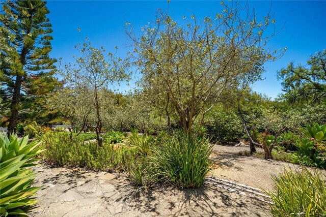 225 Broken Arrow Rd, Nipomo, CA 93444 - photo 55