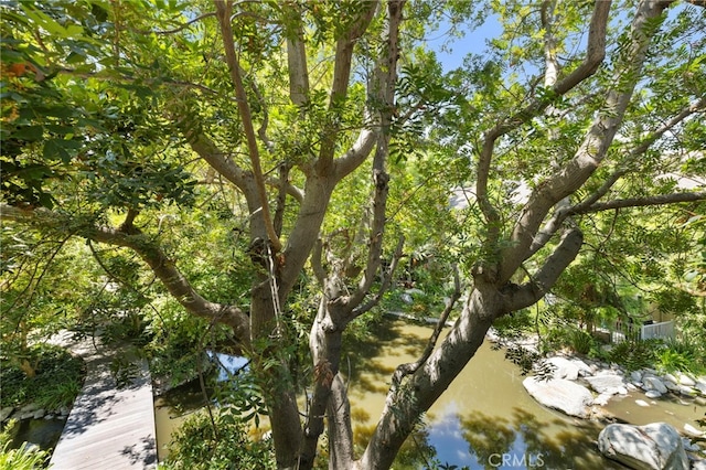 7150 Carlson Cir Unit 21, Canoga Park, CA 91303 - photo 17