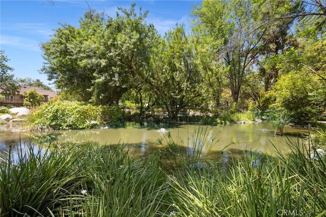 7150 Carlson Cir Unit 21, Canoga Park, CA 91303 - photo 24