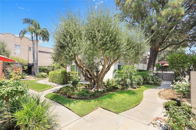 591 Fairview Ave, Arcadia, CA 91007 - photo 6