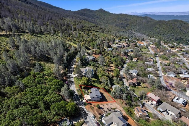 3019 Skyline Dr, Kelseyville, CA 95451 - photo 71