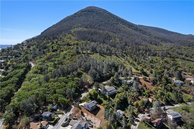 3019 Skyline Dr, Kelseyville, CA 95451 - photo 60
