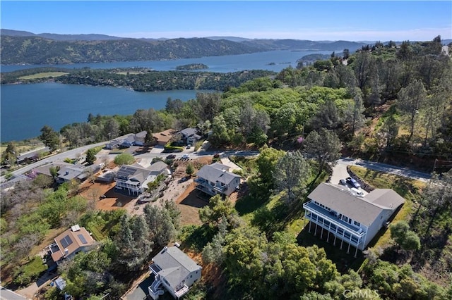 3019 Skyline Dr, Kelseyville, CA 95451 - photo 62