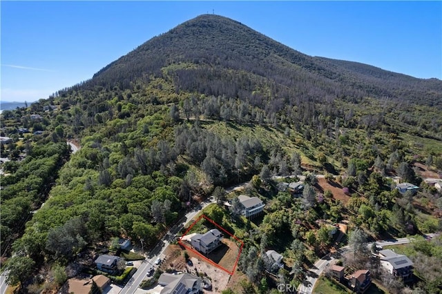3019 Skyline Dr, Kelseyville, CA 95451 - photo 59