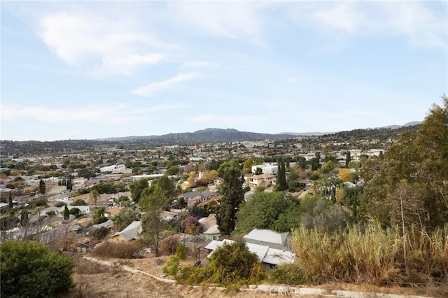 2391 Yorkshire Dr, Los Angeles, CA 90065 - photo 30